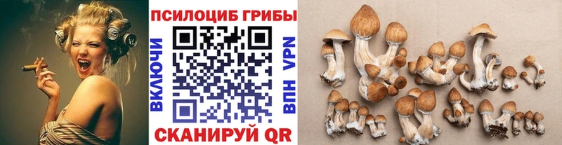 Галлюциногенные грибы ЛСД  мега ONION  Алдан 